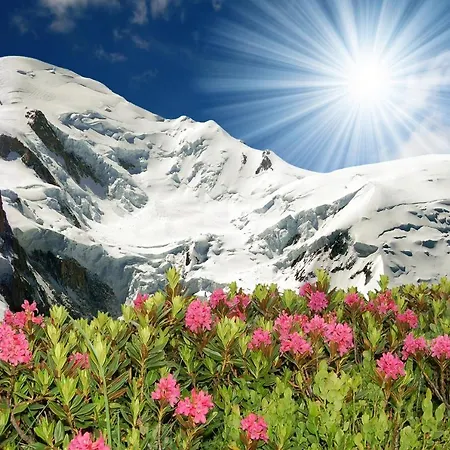 Le Cristal - Lognan 4 * Chamonix
